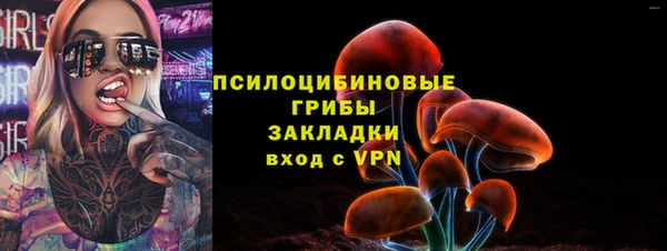 прущие крисы Алексеевка