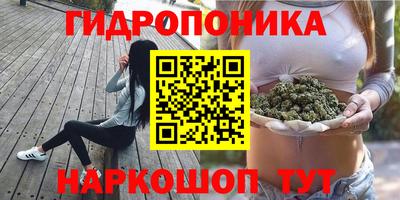 кокс Чапаевск
