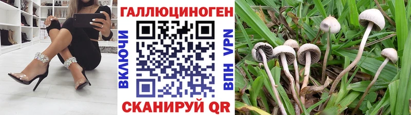 Галлюциногенные грибы Psilocybe  сколько стоит  ОМГ ОМГ как зайти  Тейково 
