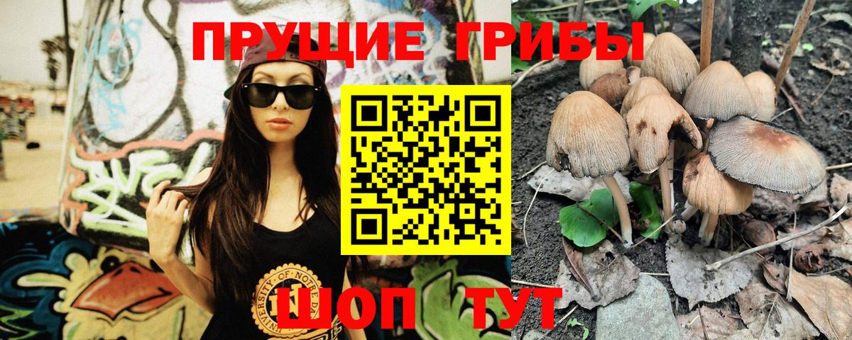 Псилоцибиновые грибы GOLDEN TEACHER Тейково