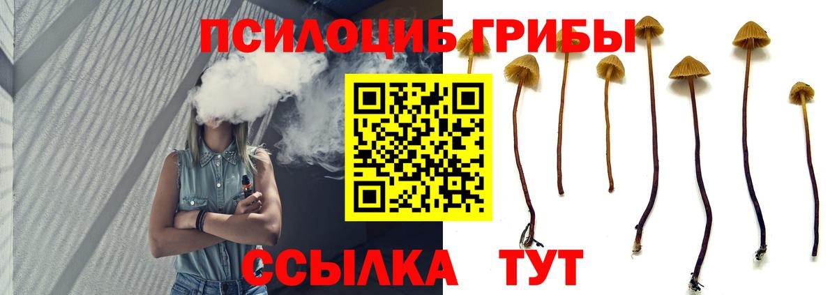 Тейково  сколько стоит  Вход с VPN  Галлюциногенные грибы GOLDEN TEACHER 